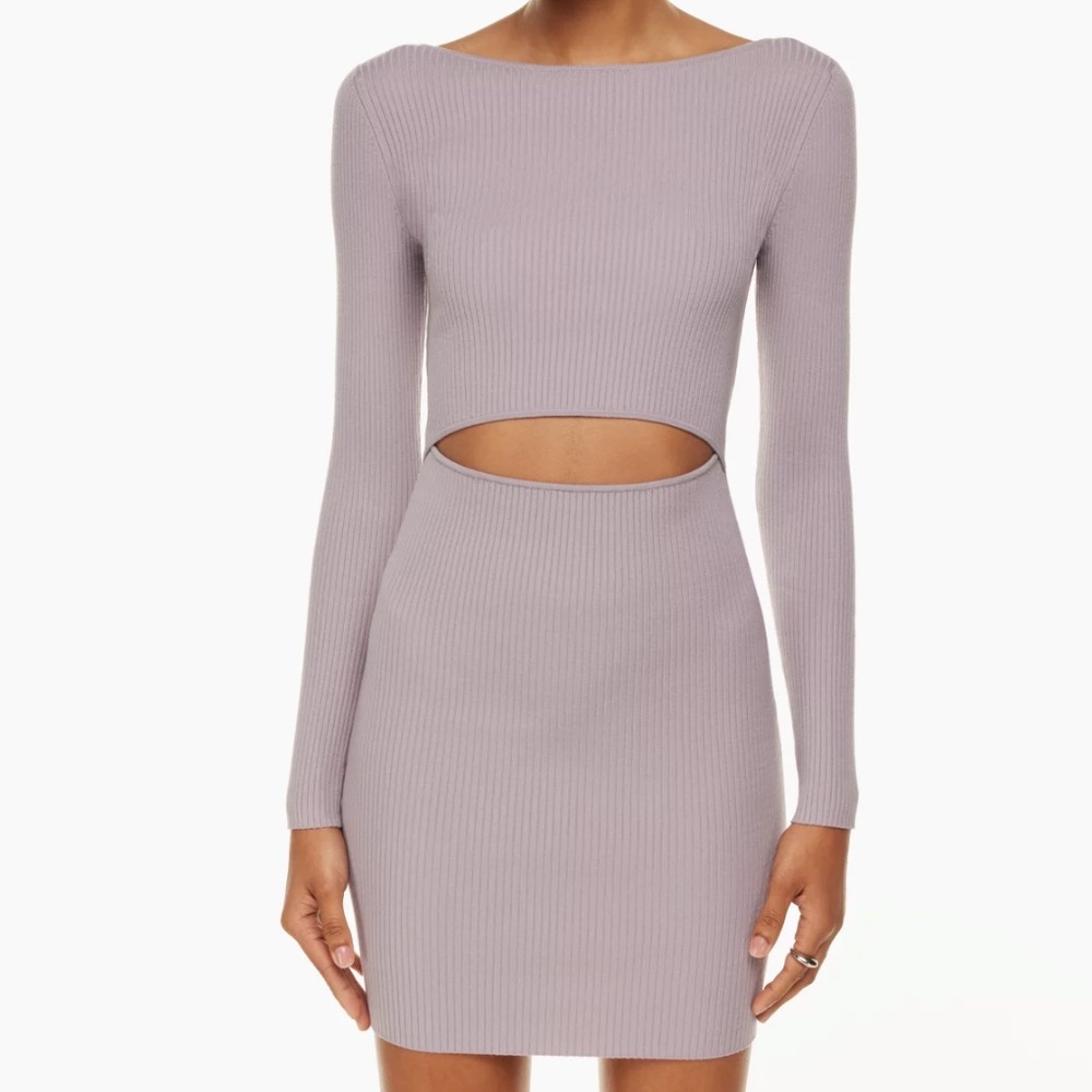 Aritzia Knit Dress